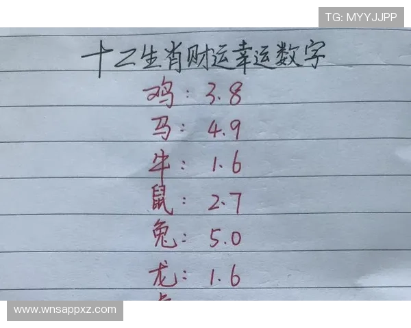 澳门彩备用网址官网入口，快速注册领取丰富彩金优惠活动详解